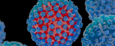 خلية فيروس الهربس